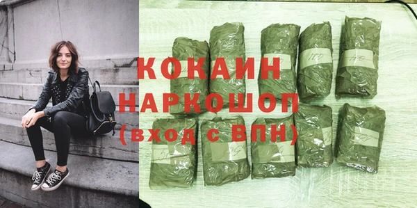 apvp Магас