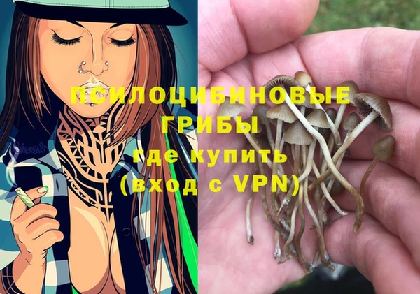 спиды Магадан
