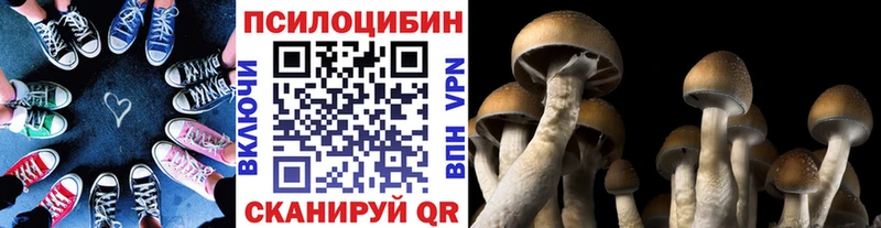 Галлюциногенные грибы мицелий  Холм 